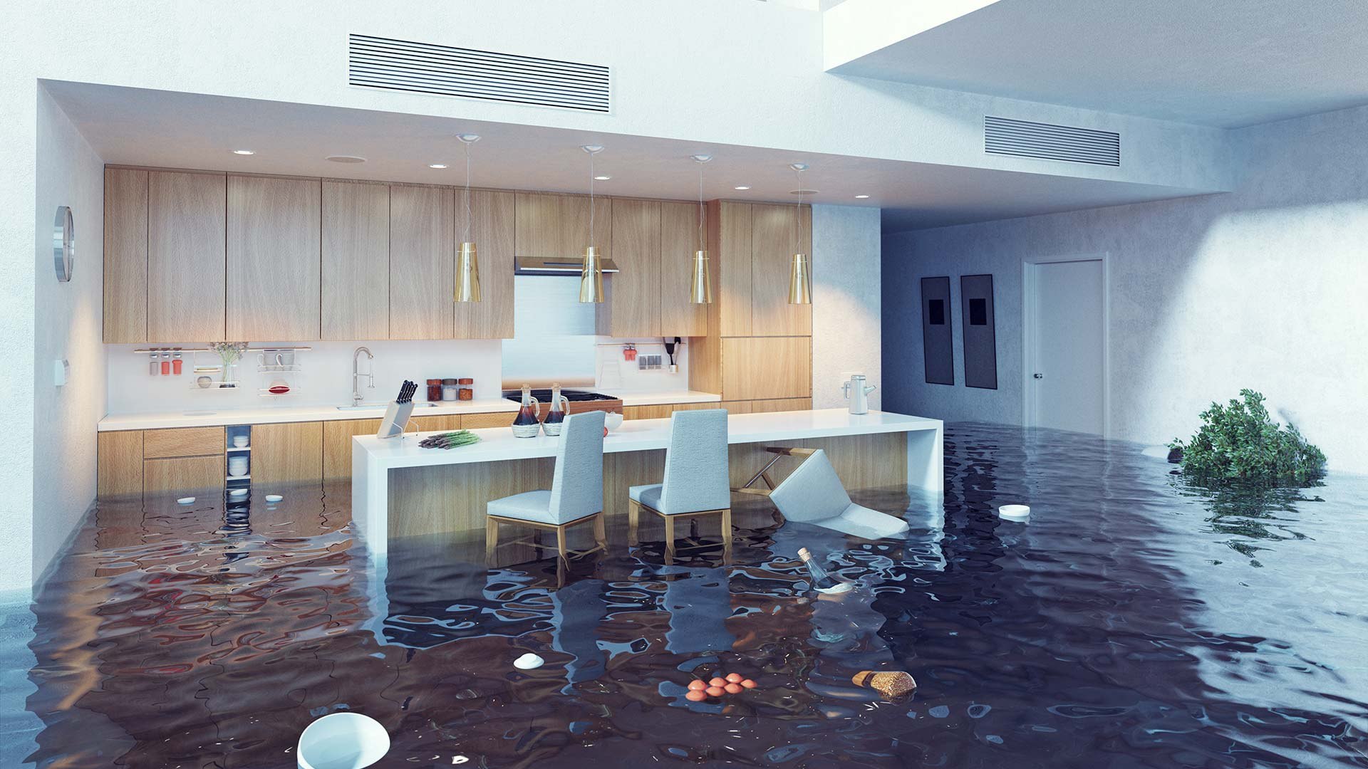 Water Damage Restoration